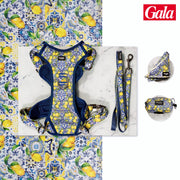 Kit Maxi Amalfi Pawppy Paris