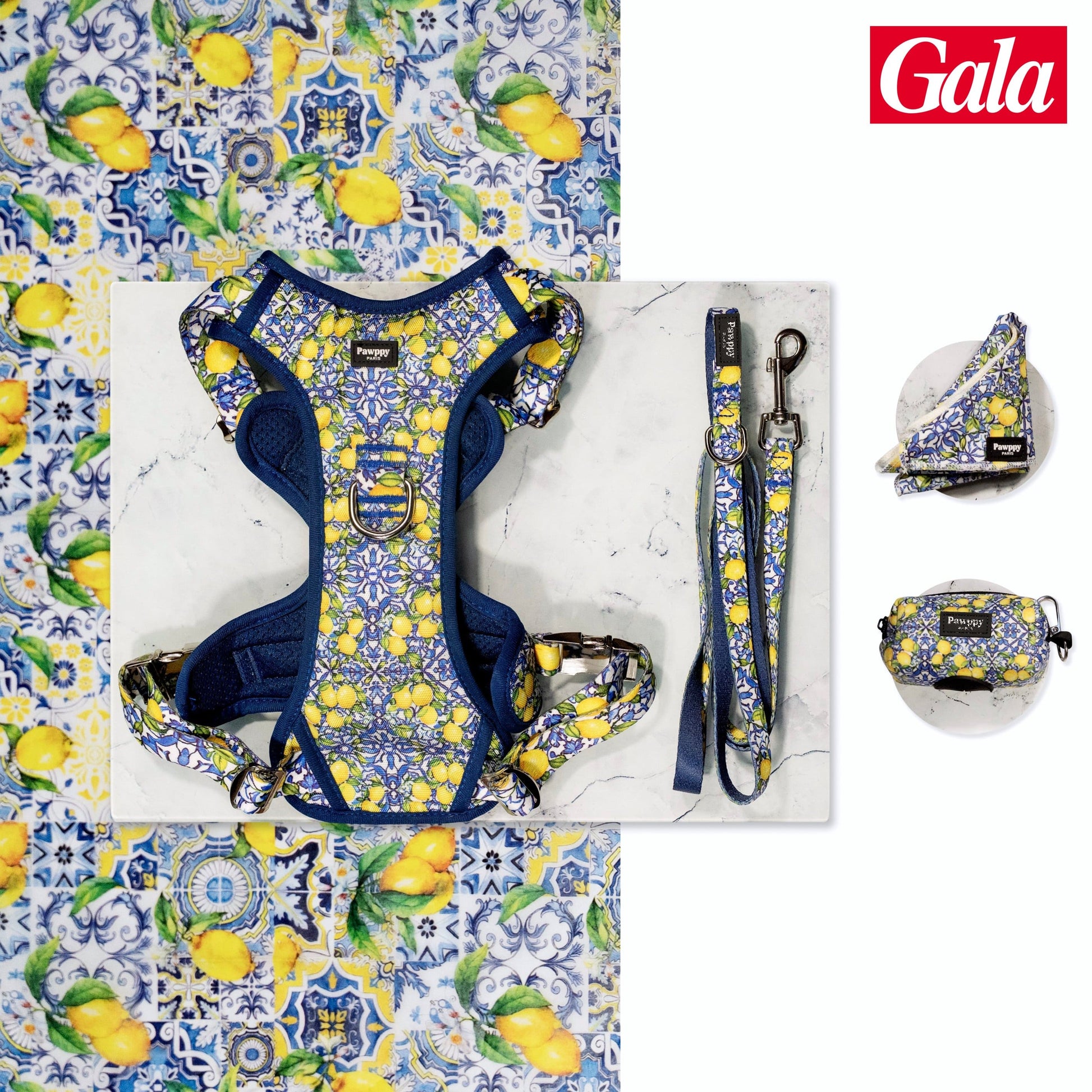 Kit Maxi Amalfi Pawppy Paris