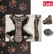 Kit Maxi Jaguar Pawppy Paris