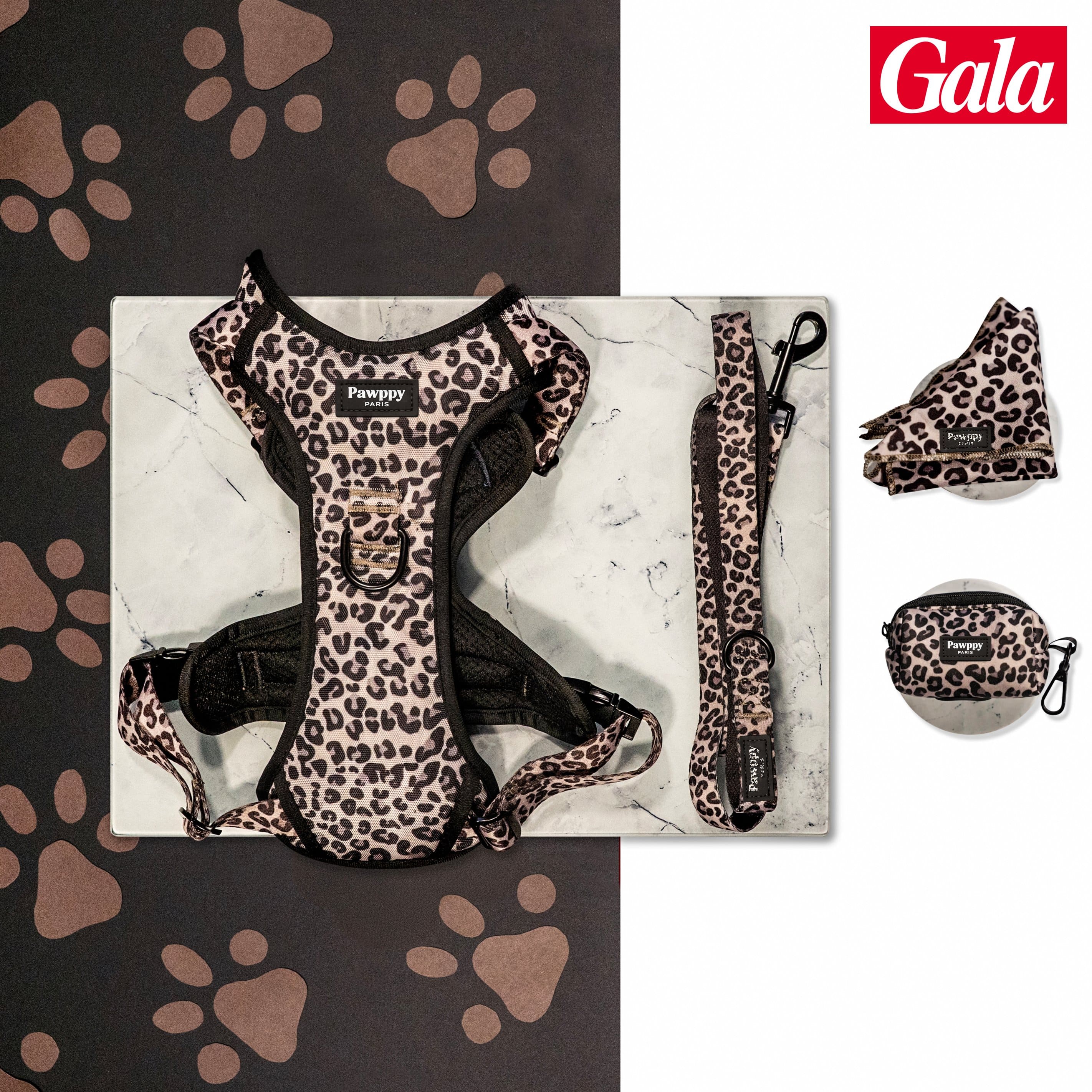 Kit Maxi Jaguar Pawppy Paris