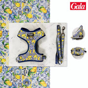 Kit Midi Amalfi Pawppy Paris