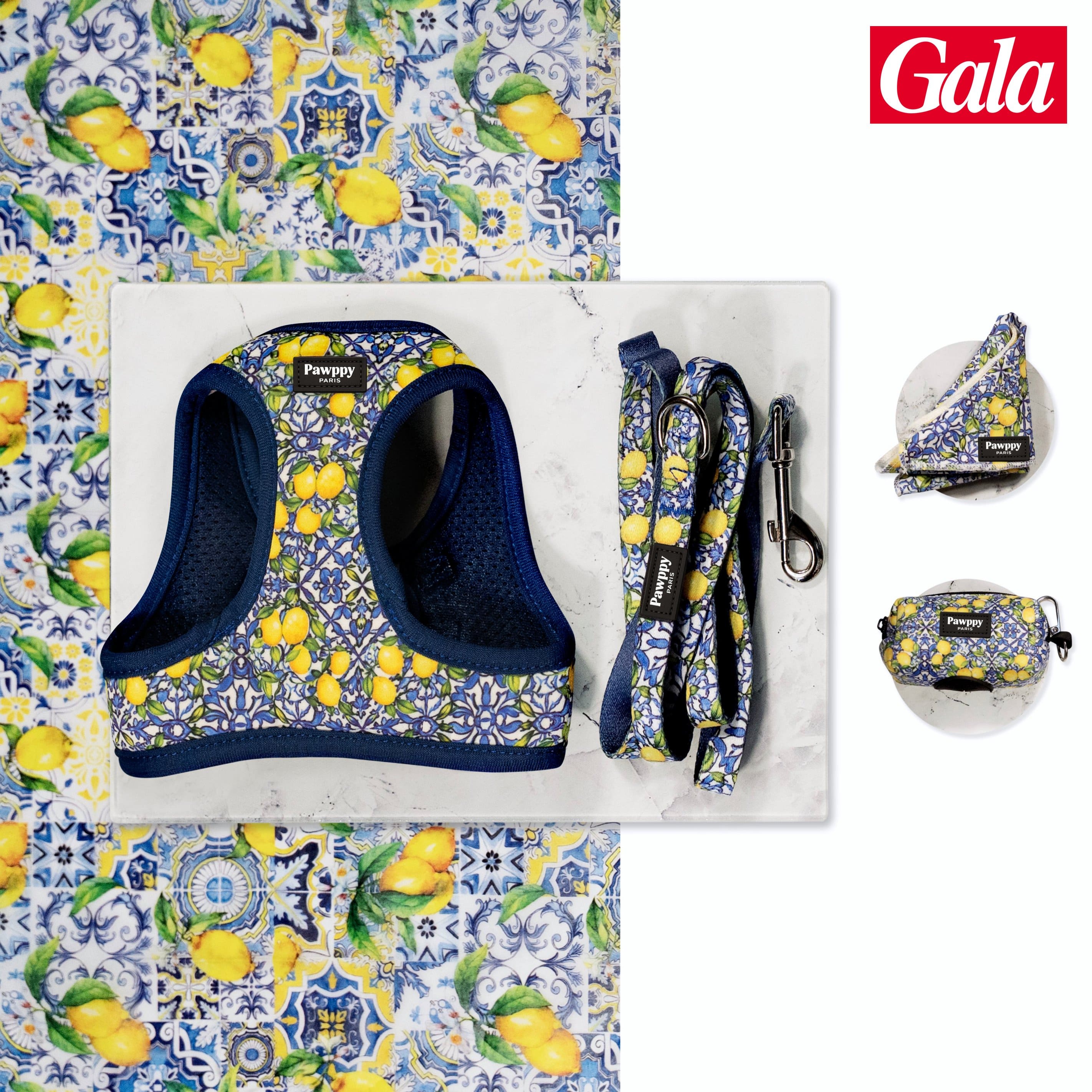 Kit Mini Amalfi Pawppy Paris