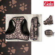 Kit Mini Jaguar Pawppy Paris
