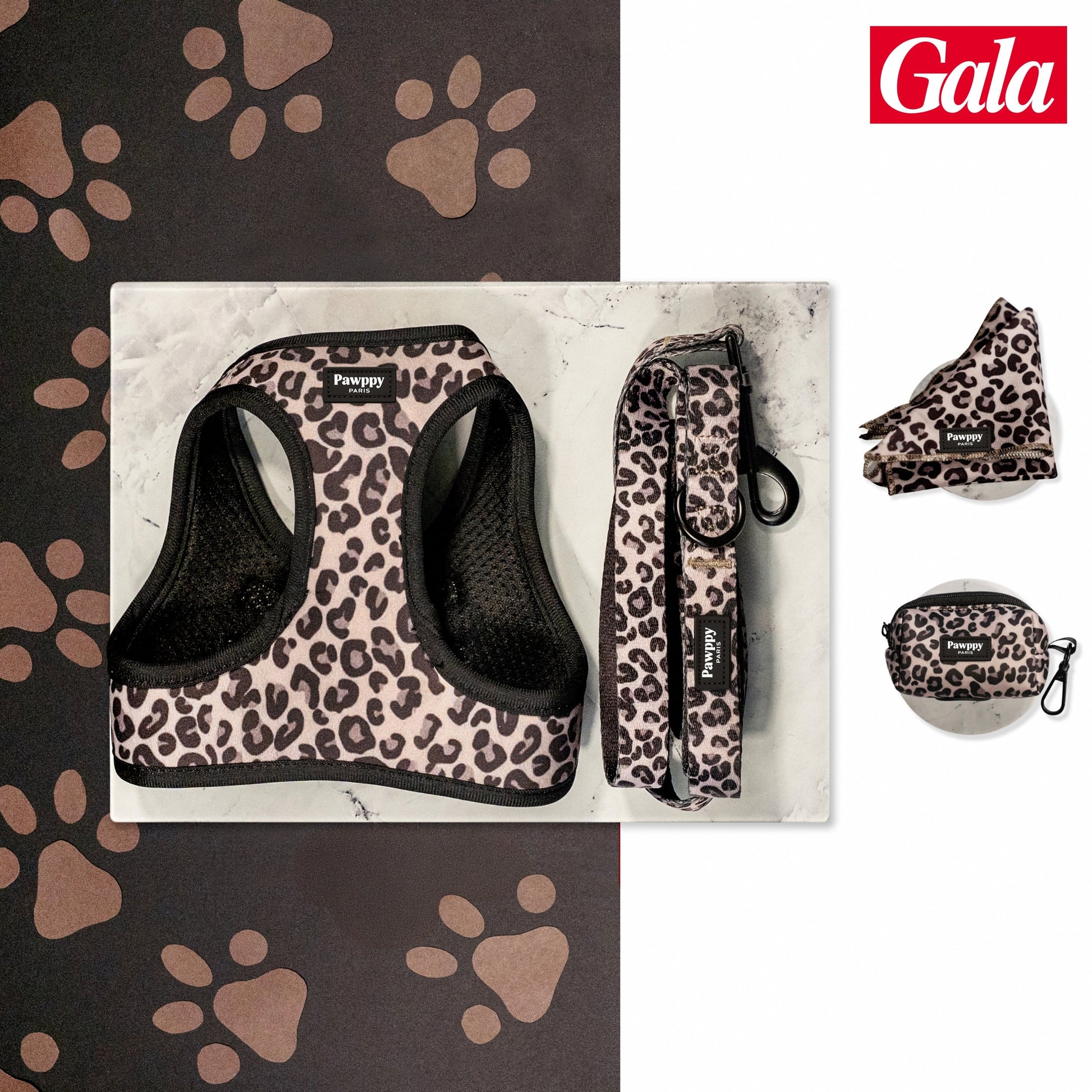 Kit Mini Jaguar Pawppy Paris