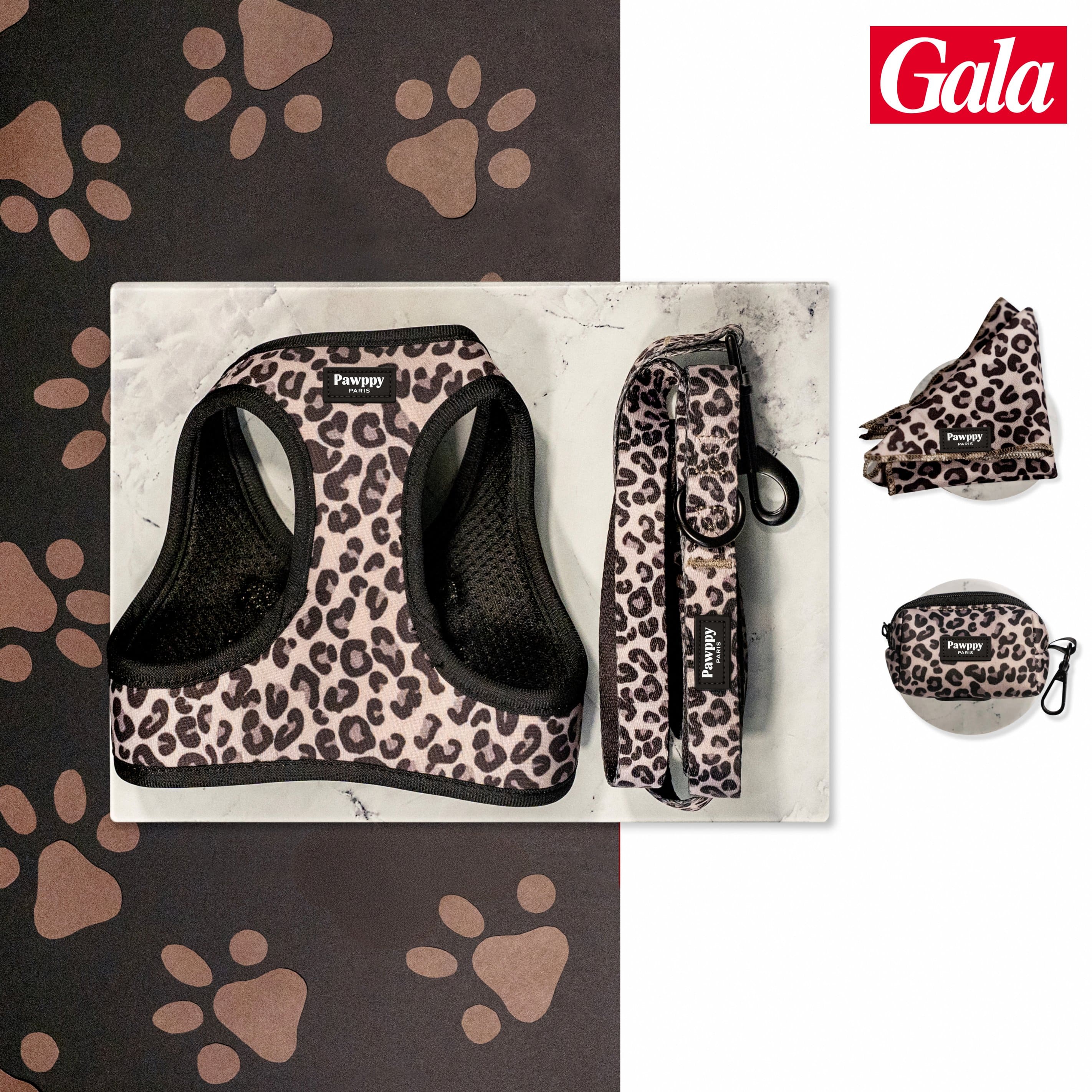 Kit Mini Jaguar Pawppy Paris